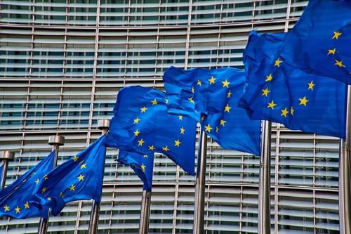 В ЕС назвали «классической практикой» присутствие дипломатов на судах в РФ 