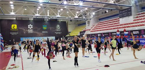 Хабаровские гимнастки стали лучшими на чемпионате ДФО