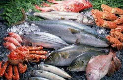 На экспорте рыбы Россия заработала 2,8 млрд долларов