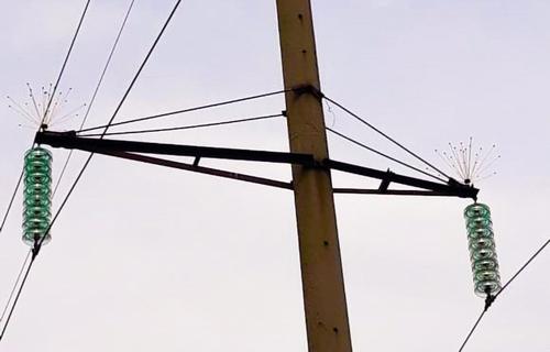 В краснодарском энергорайоне установят около 500 птицезащитных устройств на ЛЭП