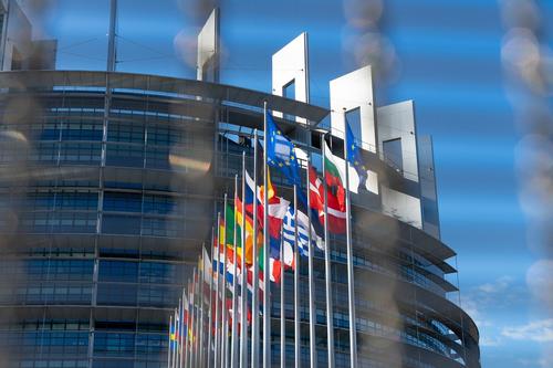 Европарламентарий от Бельгии призвал оценить ущерб странам ЕС от антироссийских санкций