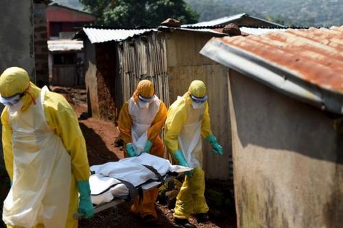 Ситуация с коронавирусом в Африке вызывает серьёзную тревогу​