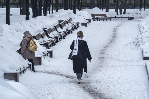 Синоптик Вильфанд назвал сроки таяния снега в Москве 