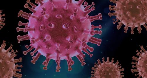Российские ученые выделили новый вариант южноафриканского штамма коронавируса