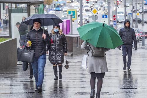 Сотрудники МЧС предупредили москвичей о дожде и ветре с порывами до 17 м/с