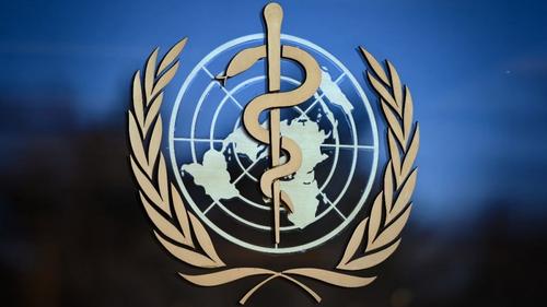 США и еще ряд стран выразили «общую обеспокоенность» докладом ВОЗ о коронавирусе