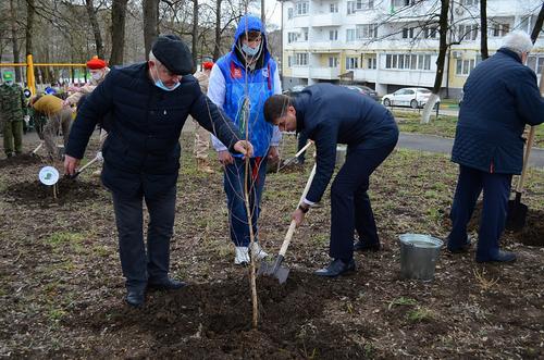 На Кубани в рамках акции «Сад памяти» высажено более 23 тысяч деревьев
