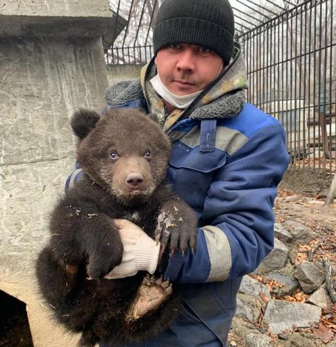 В хабаровском зоопарке родился медвежонок