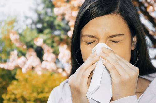 В весенний период стали путать аллергию с коронавирусной инфекцией