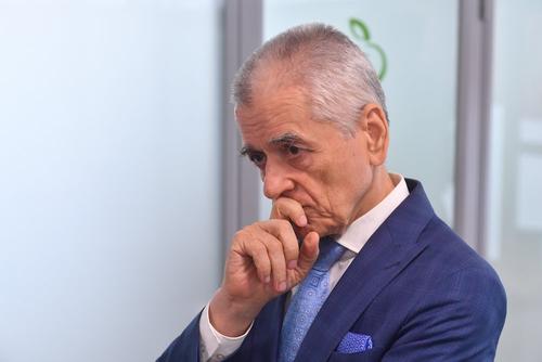 Онищенко полагает, что авиасообщение с Турцией следует остановить на все лето