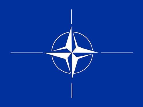 НАТО поддерживают объявленные США «меры реагирования на дестабилизирующую деятельность РФ»