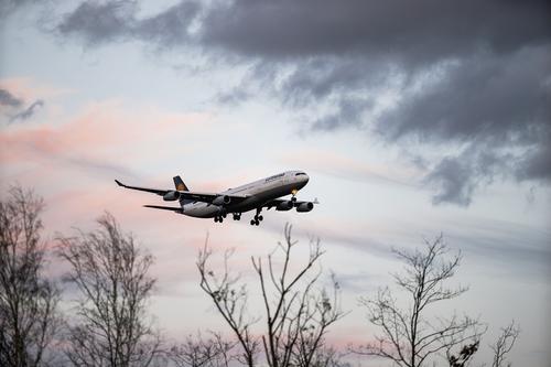 В Новосибирске из-за инсульта у пилота экстренно сел летевший из Парижа самолет 