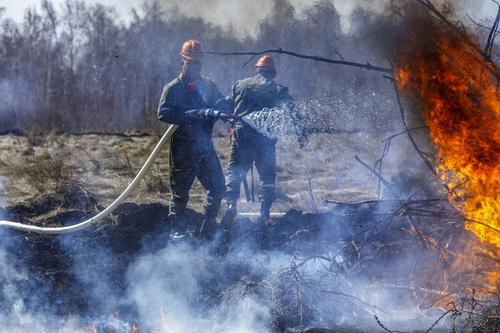 В Челябинской области зафиксированы первые лесные пожары