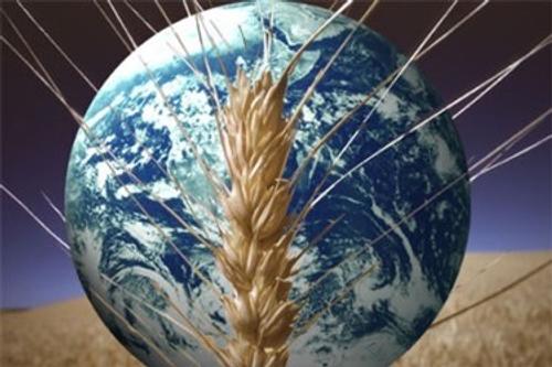 Климат и вопросы продовольствия: как они связаны?