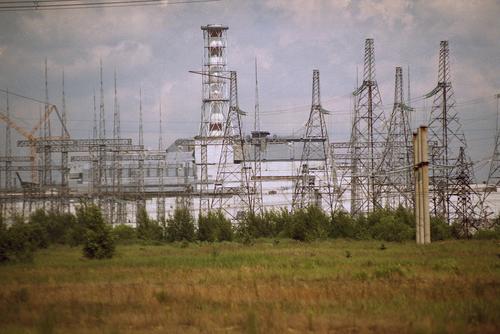 Физик Яценко развеял мифы о животных-мутантах в Чернобыльской зоне отчуждения