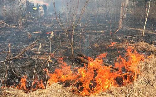Лесные пожары угрожают Нижегородской области
