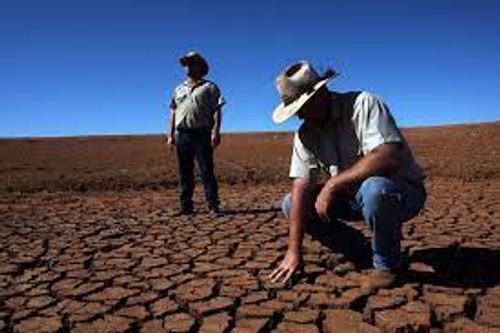 Небывалая засуха в Мексике грозит серьёзными последствиями
