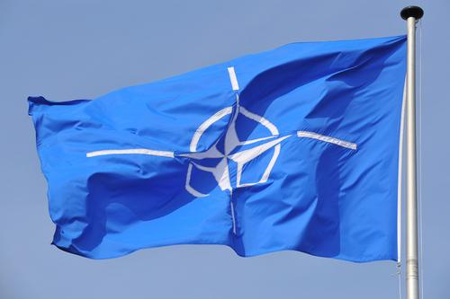 Официальный представитель НАТО: альянс поддержал Болгарию в связи с «дестабилизирующим поведением РФ» 