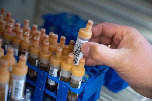 В России за сутки выявили 8 115 случаев заражения коронавирусом