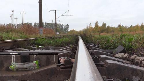 Девушка попала под грузовой поезд рядом с Хабаровском