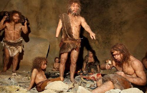 От неандертальцев до первых людей: новые исследования  ученых об этапах  эволюции
