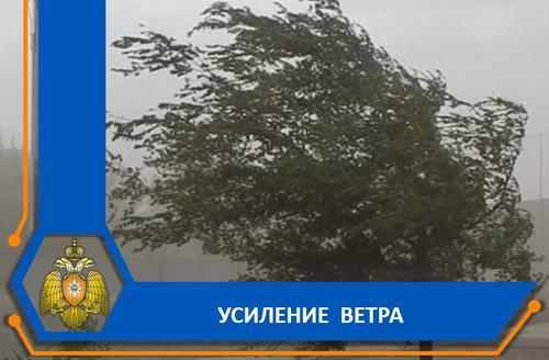 В сети появились видео, как на Астрахань обрушилась песчаная буря