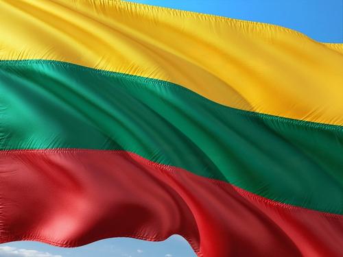 МИД Литвы потребовал отпустить севший в Минске самолет