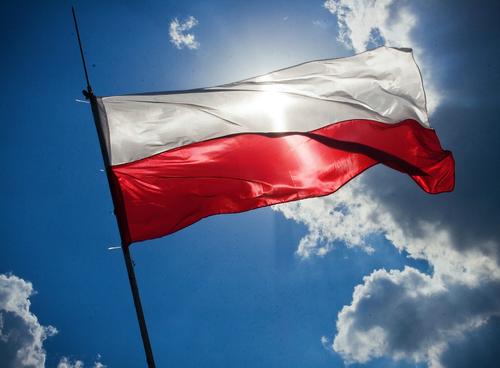 Польский политик Хорала обеспокоен, что  Германия превращается в «мини-Россию»