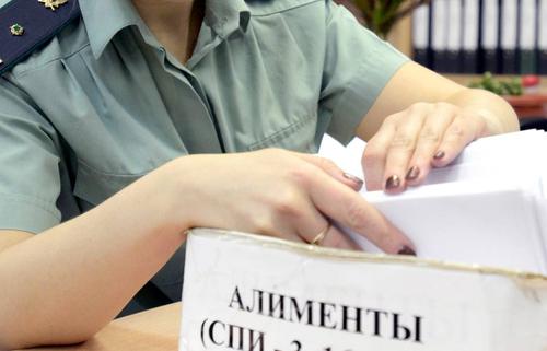 Хабаровский алиментщик задолжал ребенку более миллиона рублей 