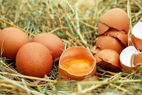В Минсельхозе прокомментировали информацию «Росптицесоюза» о возможном дефиците куриных яиц