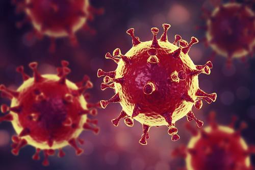 Британские вирусологи нашли доказательства искусственного происхождения коронавируса SARS-Cov-2