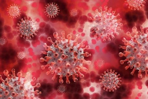 Times: британская разведка считает утечку коронавируса из лаборатории «возможной»
