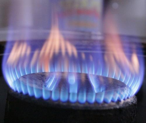 Совфед одобрил закон о бесплатном подключении к газу