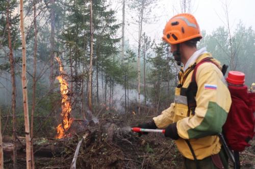 Ситуация с лесными пожарами в  Сибири резко ухудшилась