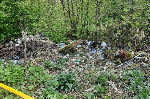 В свалку мусора превратился поселок в Хабаровском крае