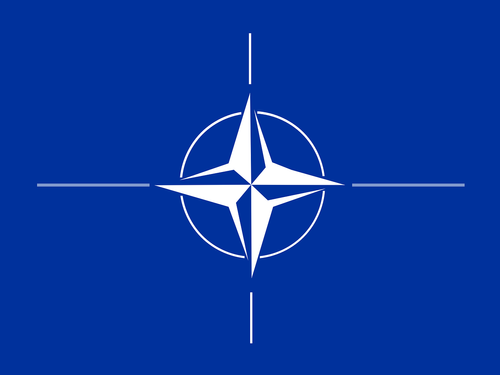 Власти США заявили, каковы шансы Украины стать членом НАТО