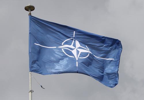 Дипломатический источник: на саммите НАТО не будут обсуждаться сроки вероятного вступления Украины в альянс