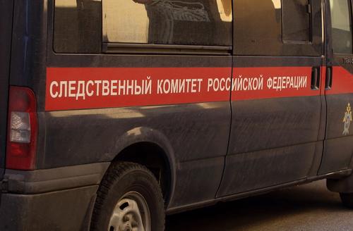 Задержан подозреваемый в убийстве двух женщин в Новой Москве