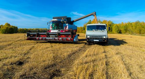 В Челябинской области пройдет первая сельскохозяйственная микроперепись