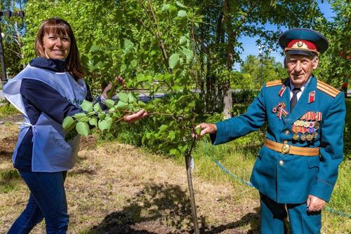 Волонтеры РМК высадили 25 тысяч деревьев