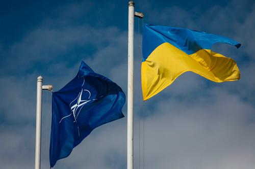 Центр Разумкова: Больше половины опрошенных украинцев не воспринимают НАТО, как союзника