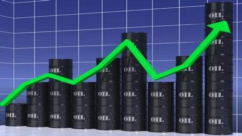 Аналитики Полищук и Маринченко предсказали рост цен на нефть до 80-100 долларов за баррель