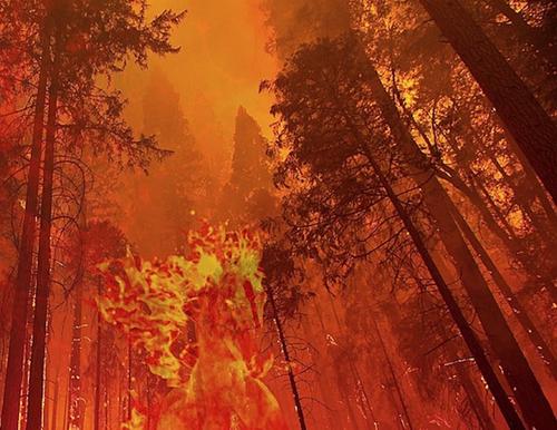 В Истринском районе Подмосковья загорелись около 3,5 гектара леса