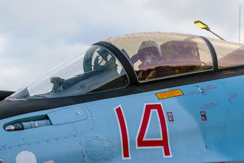 Пилот итальянского F-35 с позывным Falco о маневре российского Су-30СМ над Балтикой: «От неожиданности я просто замер от страха» 