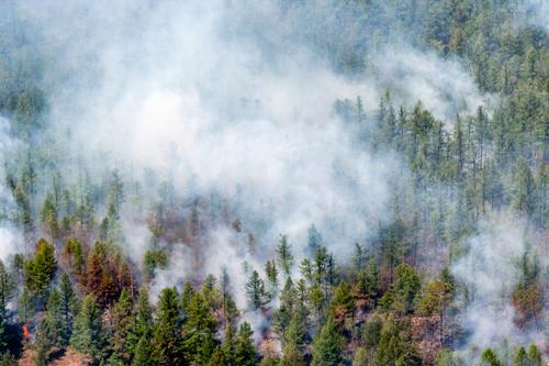 На всей территории Карелии в связи с лесными пожарами ввели режим ЧС до 31 июля включительно