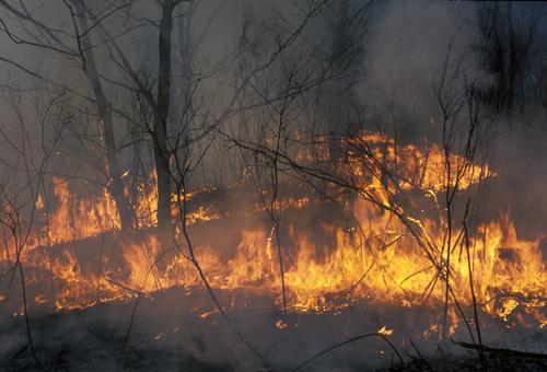 В Якутии медпомощь потребовалась более 100 гражданам из-за дыма от пожаров