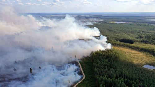 Лесные пожары на севере Хабаровского края заняли 3 тысячи гектаров 
