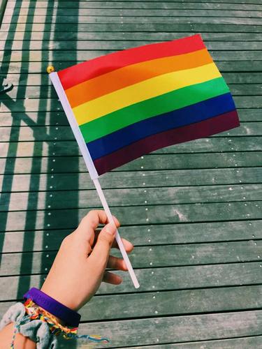 Рига: Балтийский прайд ЛГБТ меняет программу