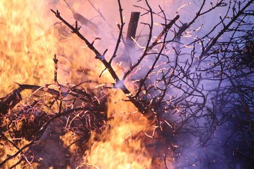 Власти Турции сообщили о более 180 пострадавших из-за пожара в стране