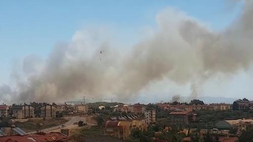 Власти Турции сообщили, что лесными пожарами охвачены на юге страны семь провинций